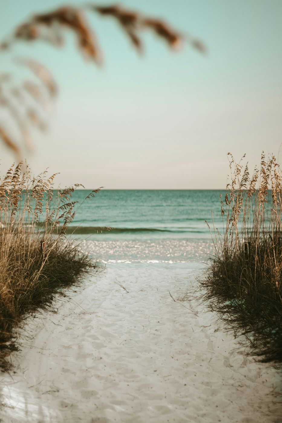 A sandy path through sea oats leading to the beach